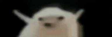 low quality dancing hedgehog